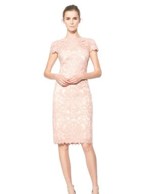 Tadashi Shoji Corded Embroidery illusion Cap Sleeve Dress Sheath Metallic Blush
